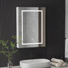 Bathroom Mirror Cabinet w/ LED Shelves Storage Illuminated Lights Wall Mounted