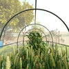 Polytunnel Greenhouse with Clear Cover, Walk-in Grow House, 3 x 2 x 2m