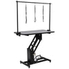 Professional Extra Large Heavy Duty Hydraulic Pet Dog Grooming Table with H Bar
