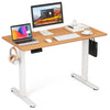 Electric Standing Desk 120x60cm Height Adjustable Desk Computer Desk-Natural
