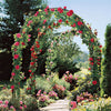 Large Garden Arch Metal Archway Gate Rose Vine Plants Climbing Trellis Rustproof