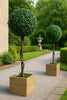 3ft (90cm) Artificial Topiary Ball Trees Decorative Faux Trees Set of 2 Indoor