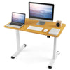 72-115CM Electric Standing Desk Sit to Stand Computer Workstation w/Cable Hole