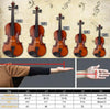 Multi-Style 1/8 1/4 3/4 4/4 Size Acoustic Violin Set for Students Beginner Gift