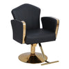 Luxury Adjustable Styling Salon Barber Chair 360 Swivel Hairdressing Chair Salon