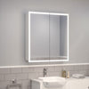 LED Bathroom Mirror Cabinet Wall Mounted 2 Doors Storage Cupboard Shower Laundry