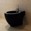 Black Ceramic Toilet & Bidet W8A1