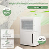 12L/D Portable Home Dehumidifier Quiet Electric Dehumidifier with 24H Timer