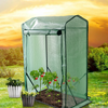 Weatherproof Tomato Greenhouse, Small, 2 KG - 150 x 100 x 50 cm