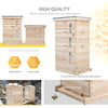 2/3/4Tier Langstroth Beehive Wax Foundation Sheet Frame Wood Bee Hive Beekeeping