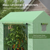 Walk-in Greenhouse with Mesh Windows and Roll-up Door, 200 x 140 x 200cm