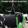 Cattle Lifting Clamp Device Cow Postpartum Stand Assist Cow Hip Lifter Assistant