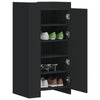 Shoe Cabinet Storage Cupboard Rack Black - Engineered Wood Shoe Organizer N3R9