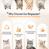 Cat Tree Tower for Indoor Cat Scratching Post Activity Tree Cat Condo Play House