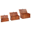Storage Chests 3 pcs Solid Acacia Wood vidaXL