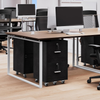 Mobile File Cabinet for Home Office, 2-Drawer, Small Rolling Filing Cabinet, Pri