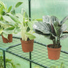 Outdoor Greenhouse Garden PE Plastic Grow Green House w/ 4 Shelves Planting Shed