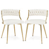 Velvet Dining Chair Set of 2 Upholstered Dining Chairs Modern Dining Chairs