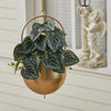 Nordic Metal Wall Hanging Swinging Flower Planters Plant Pot Home Office Decor
