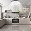LED Ceiling Fan Light Dimmable Living Room Chandelier Lamp With Remote Control