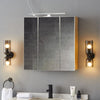 Bathroom Cabinet Mirror Wall Mounted Storage Cupboard Adjustable Shelf Top Light