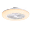 Dia.55cm LED Ceiling Fan Light Dimmable Chandelier Bedroom Lamp w/Remote Control