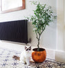 Olive Tree Artificial Large 120cm Natural Style with Olives