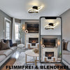 Chic LED Lamp Ceiling Light Modern Chandelier Living Room Bedroom Pendant Lights