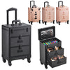 Professional Makeup Case Cosmetic Trolley Hairdressing Nail Vanity Storage Box