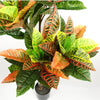 Artificial Tree Orange Yellow Codiaeum Tropical Large