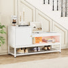Shoe Storage Bench w/ Cabinet 10 Pair of Shoe and Cushion for Entryway Home Hall