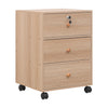 3/5 Drawer Mobile Filing Cabinets Printer Stand Pedestal Lockable Office Cabinet