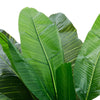 Artificial Plants Banana Tree Faux Large 180cm Tall Home Decor Artificial Plants