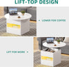 Round Lift Top Coffee Table with Storage Sofa Side Tables for Living Room White
