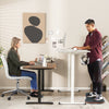 Electric Height Adjustable Standing Desk Sit to Stand Computer Workstation Table