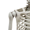3/5ft Posable Halloween Hanging Human Skeleton Haunted House Party Prop Spooky