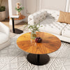 2X Chic Nesting Coffee Table Set Unique Vintage Wood Grains Glass Stacking Table