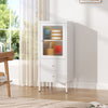 Office Filing Cabinet Storage Display Cupboard Metal Organizer with Drawer Door