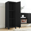 Metal Storage Cabinet Hallway Cabinet Sideboard with 2 Adjustable Shelf Cupboard