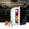 10L Portable Mini Fridge Table Top Electric Small Cooler Car Ice Box Office Home