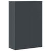 File Cabinet Anthracite 90x40x180 Steel R2U4