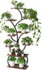 Plant Display Stand Indoor Outdoor Garden Flower Pot Shelf Rack with Grow Light
