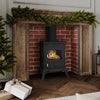 Fireplace Cast Iron Heater Home Log Burning Flame Effect Living Room Stove 4500W
