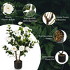 2 Pack Artificial Camellia Tree Faux Flower Plant Artificial Tree Home Decor