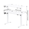Modern Electric Standing Desk Height Adjustable Sit to Stand Table Home Office