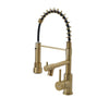 New Mono Pull Out Kitchen Mixer Tap Dual Spout Spray with Pull Down Spring Spout