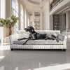 Large Crushed Velvet Dog Sofa Bed Elevated Tufted Pet Couch Bed Snuggle Lounger