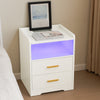 LED Nightstand USB Charger Outlet RGB End Table Versatile 2-Drawer Bedside Table