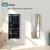 LED Lighted Jewelry Cabinet Wall Mounted & Door Hanging Jewelry Armoire Mirror