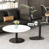 2pcs Round Coffee Table Set Thicken Solid Slate & Glass Tabletop Bedside Table
